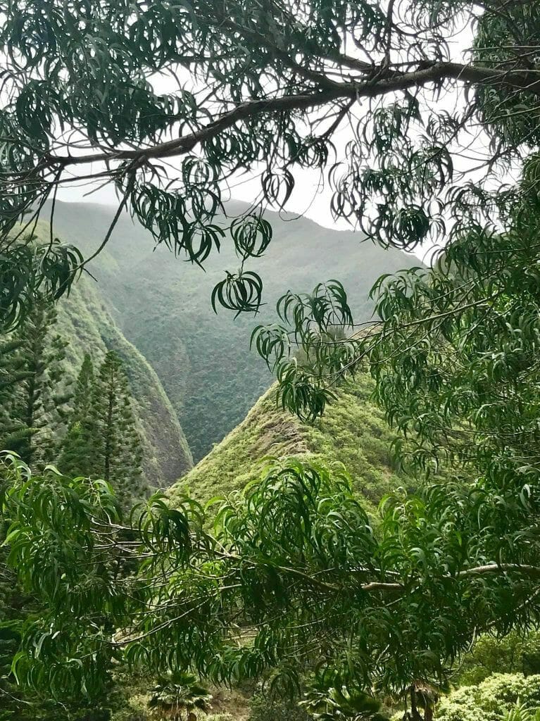 Maui Hawaii