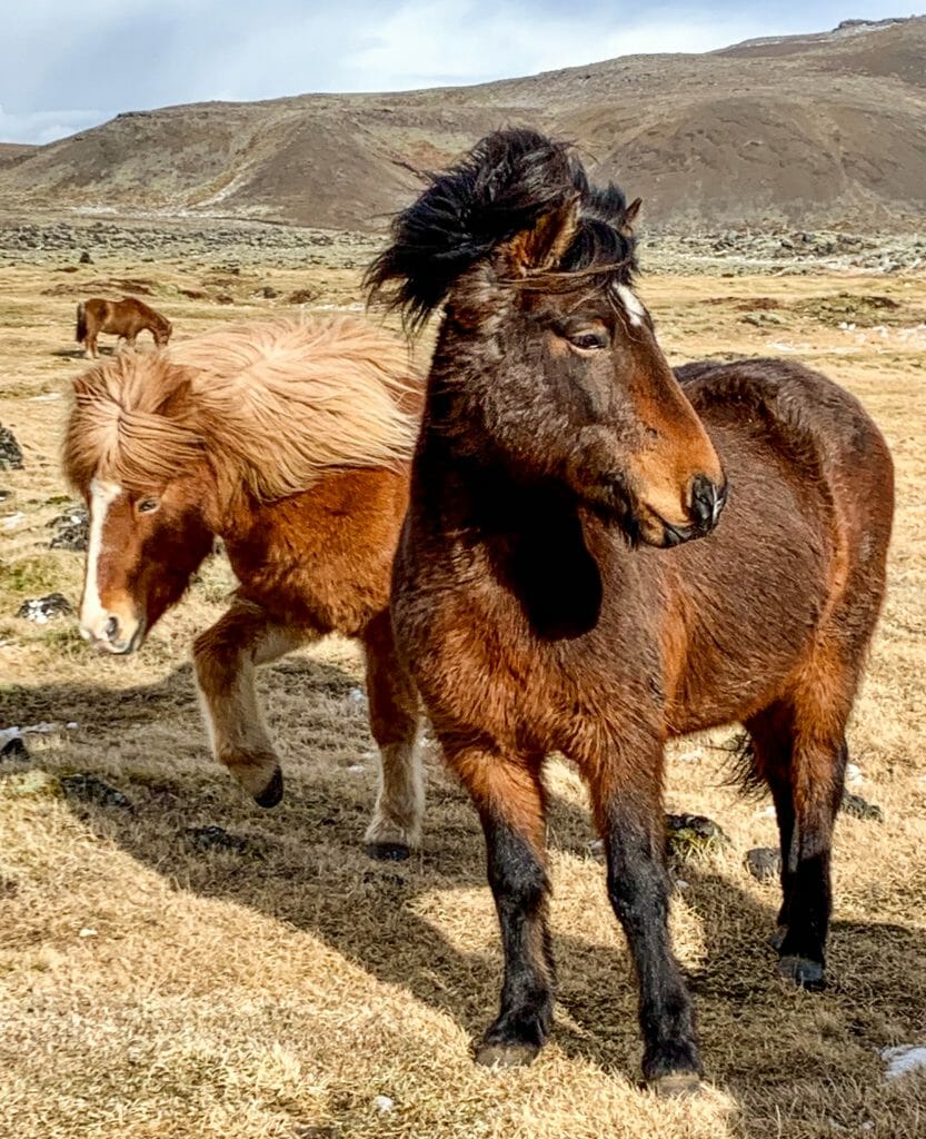 Iceland, Iceland Travel Guide