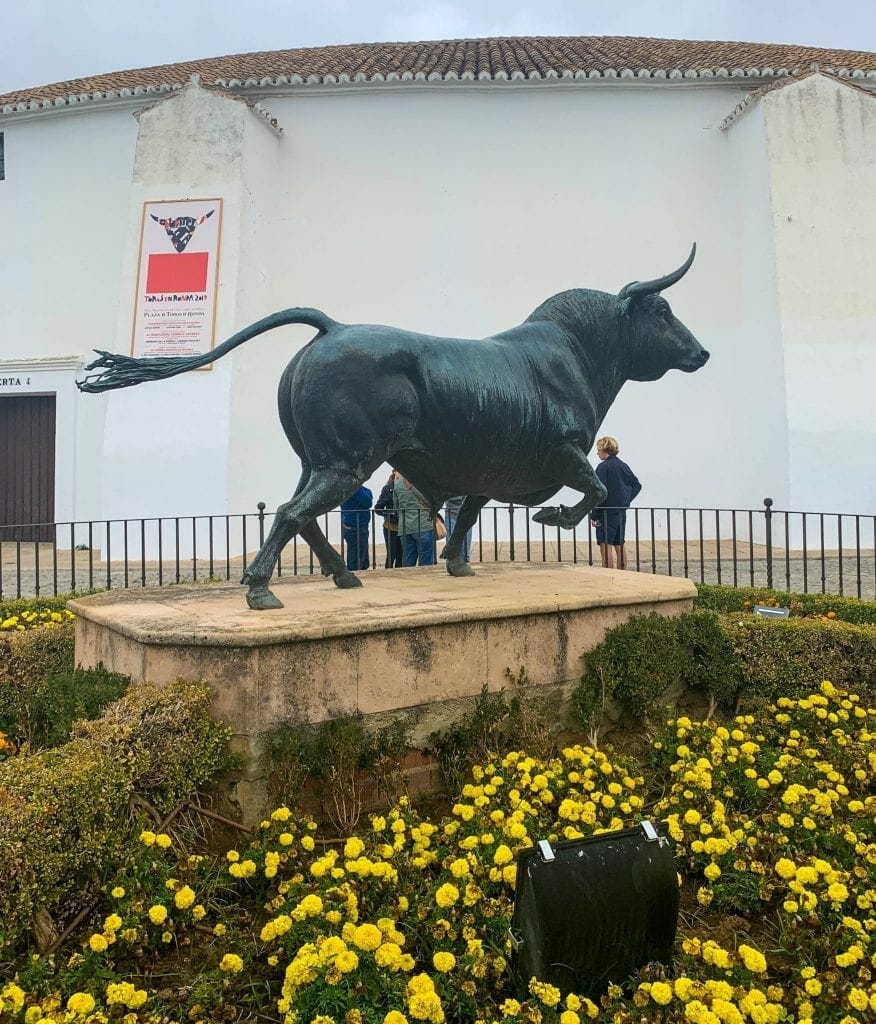 Bull