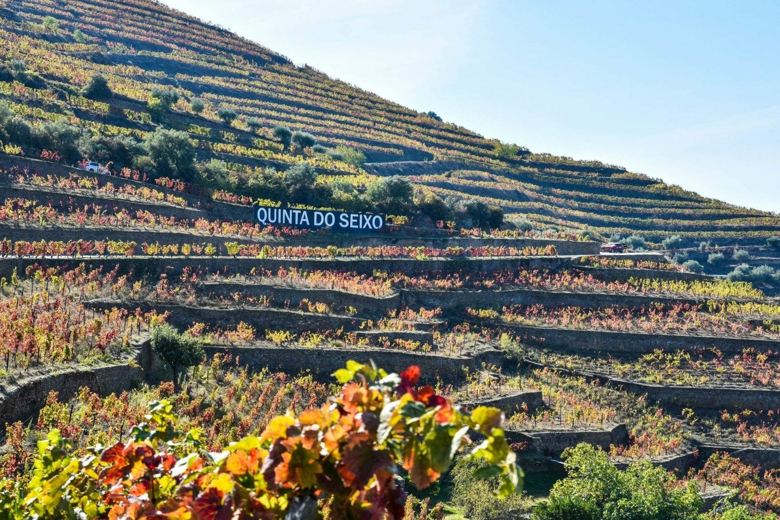 Duoro Valley, Portugal