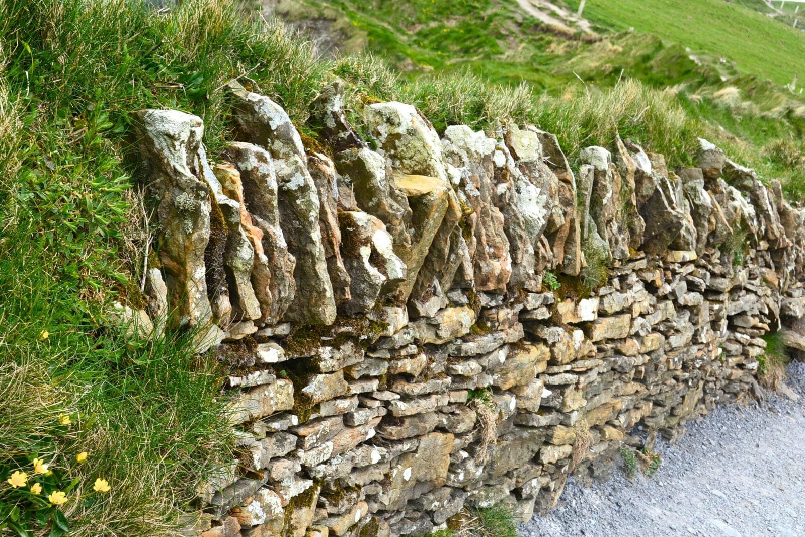 Wall
