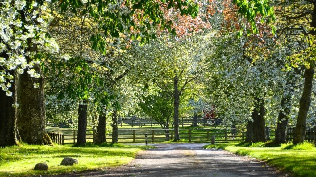 Destinations, Destinations & Travel Guides