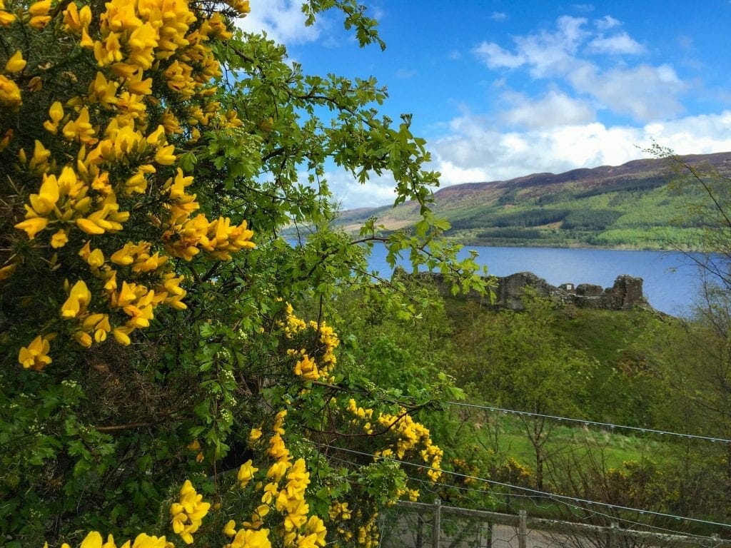 Scotland