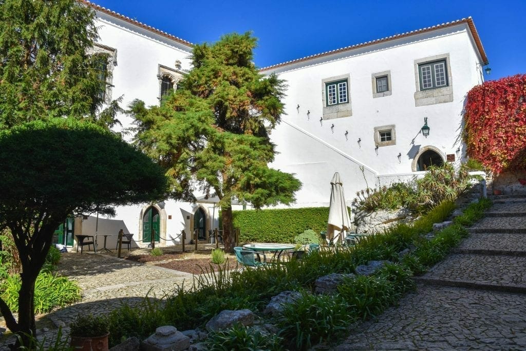 DSC 2050 1 scaled