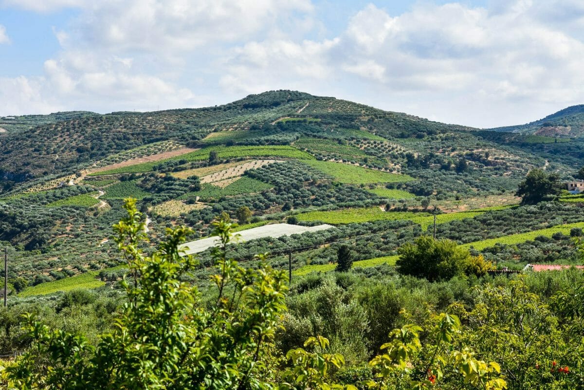 Crete Landscape