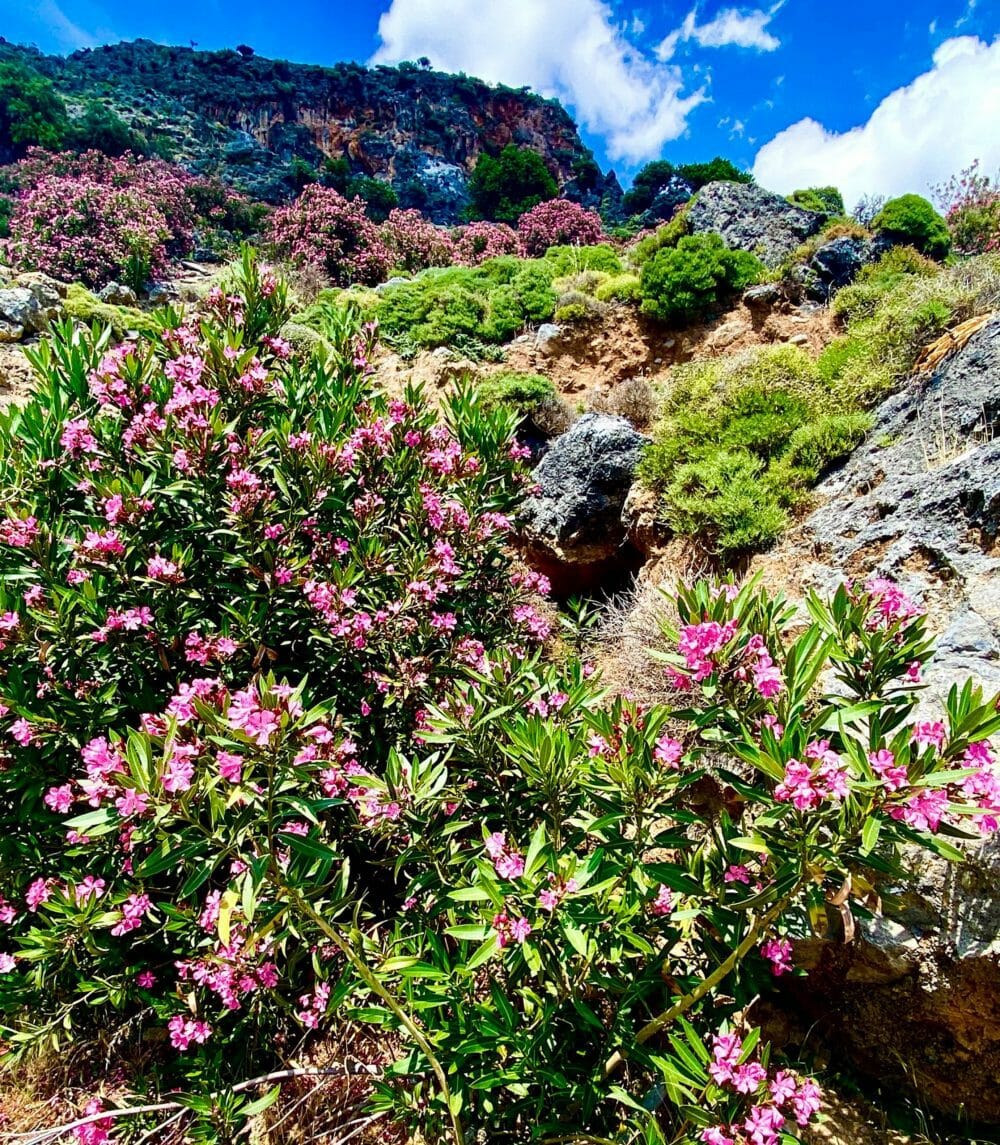 Mountain drive Crete
