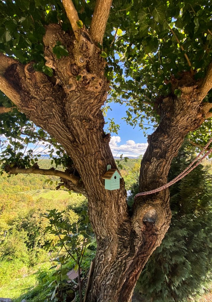 Hum Croatia, Hum, Croatia: The Smallest of Treasures