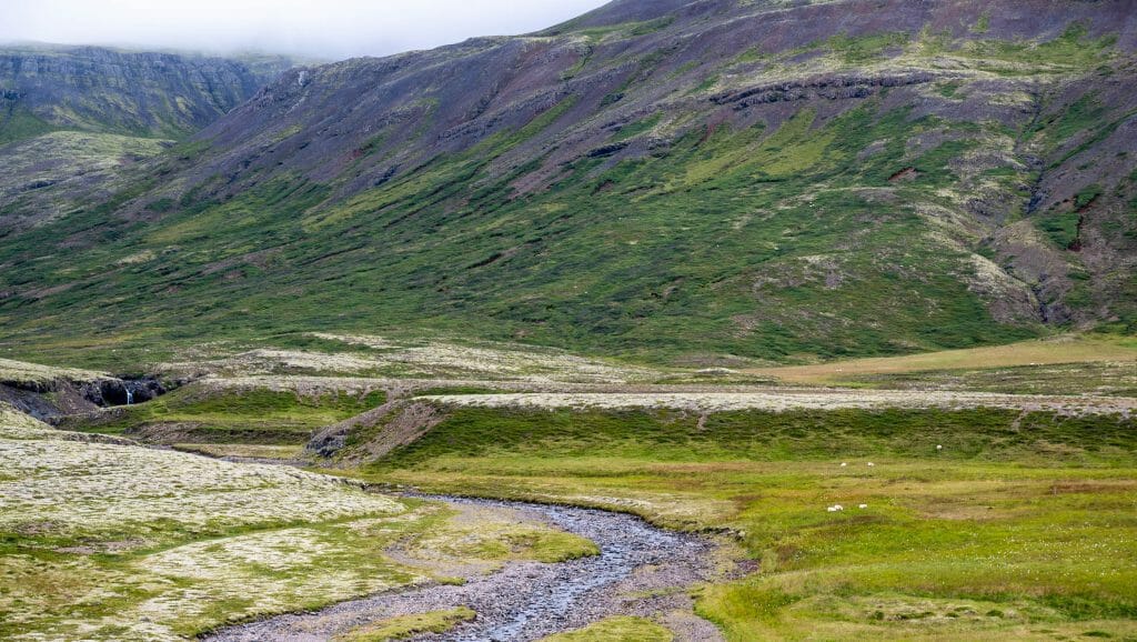 Summer Iceland