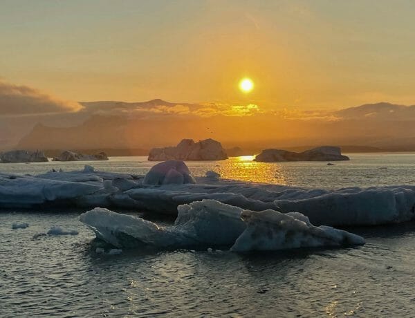 Iceland's Brennivín, Iceland&#8217;s Brennivín: Libations of the World