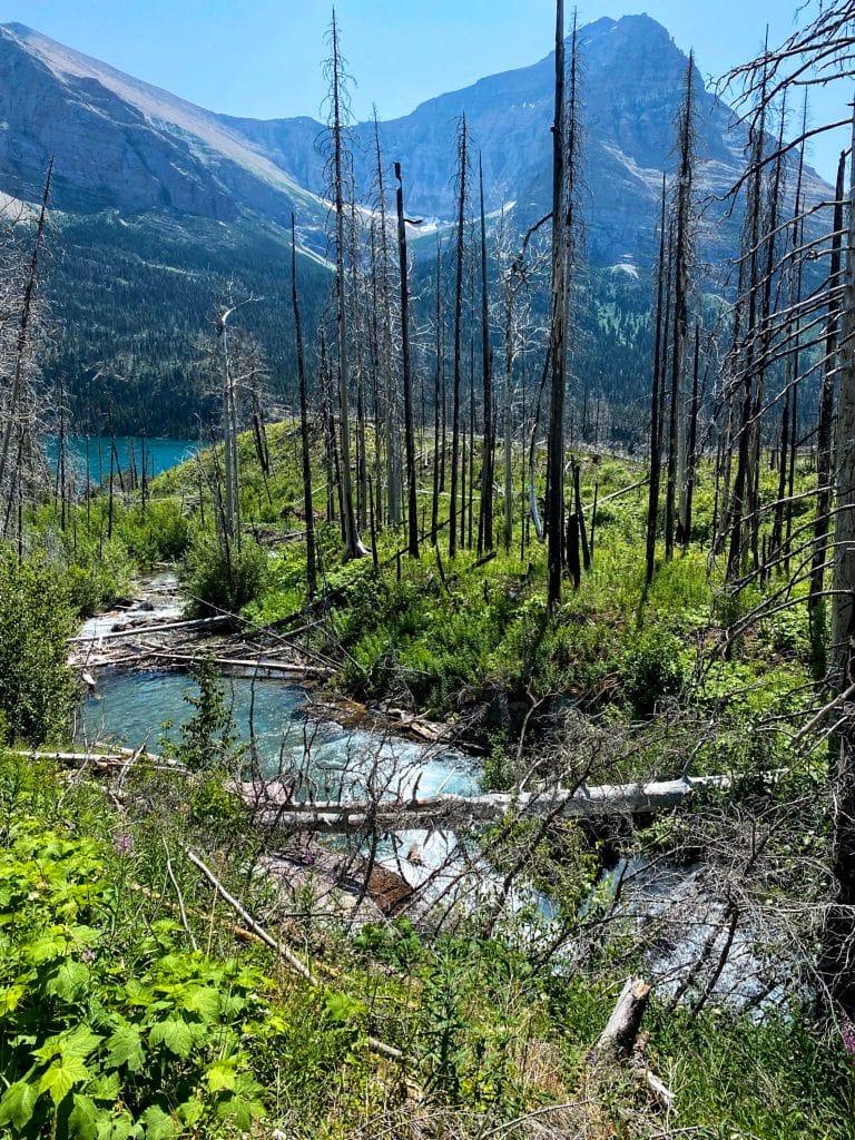 Glacier National Park