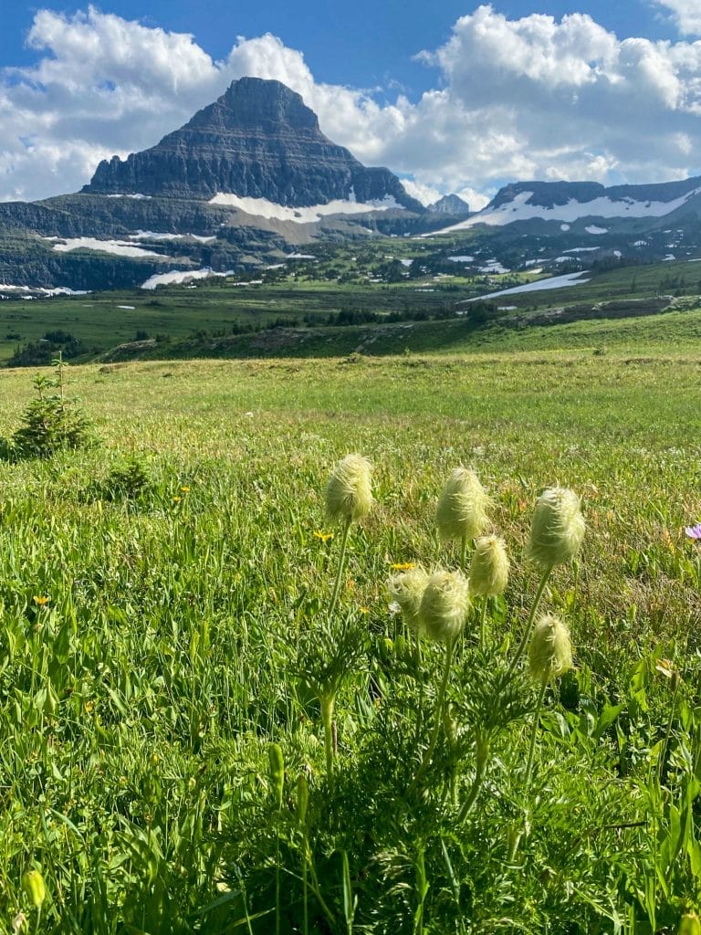 Glacier National Park, Glacier National Park: An Unforgetable Road Trip