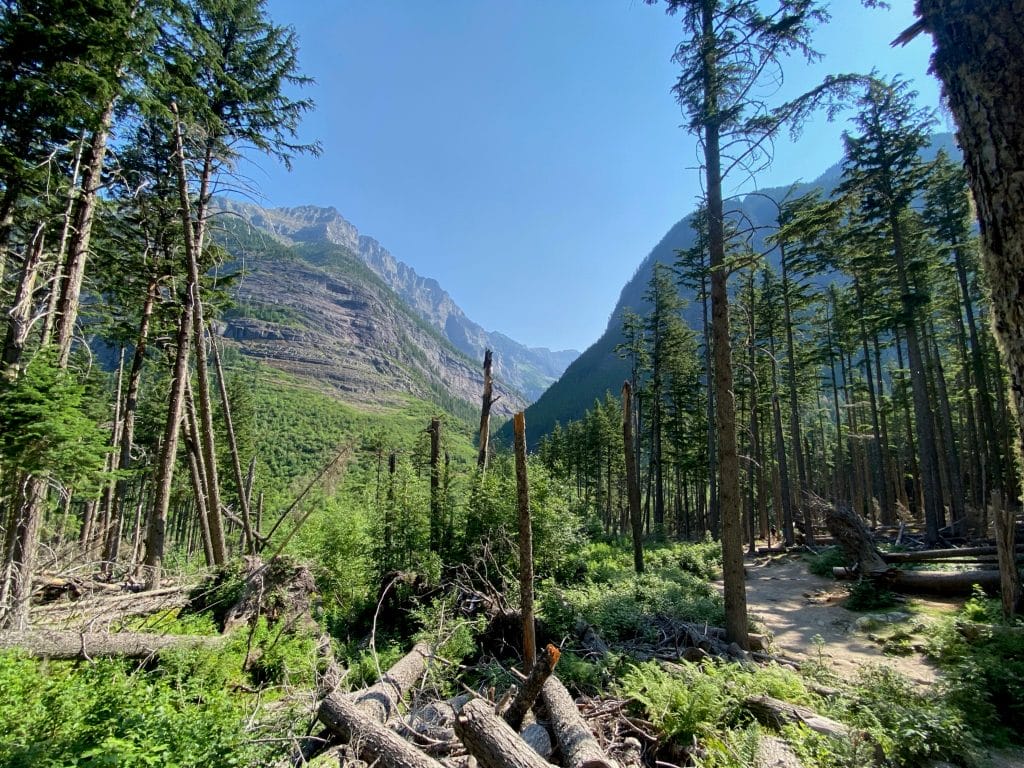 Glacier National Park, Glacier National Park: An Unforgetable Road Trip