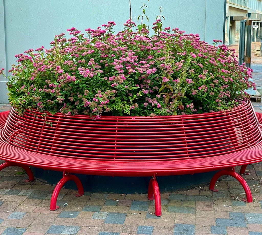 Reykjavik