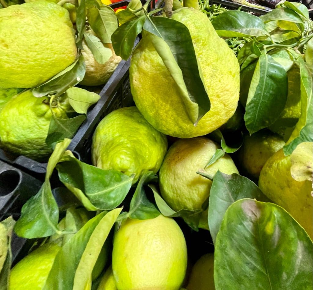 Limoncello, Limoncello: Libations of the World