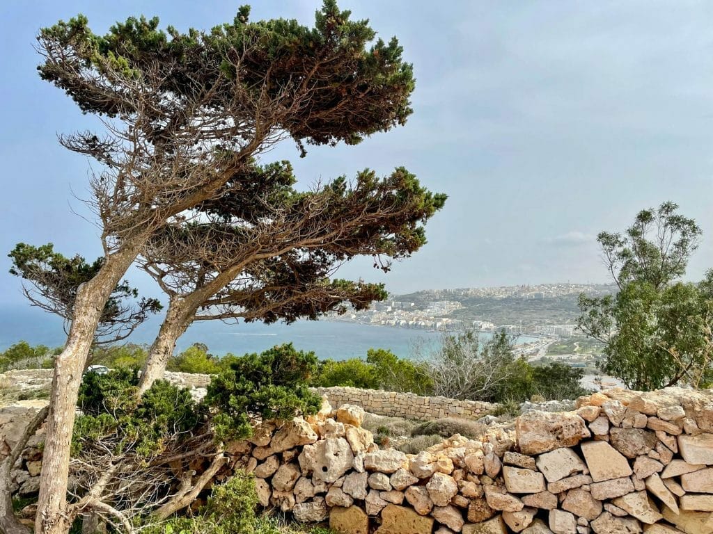 Gozo
