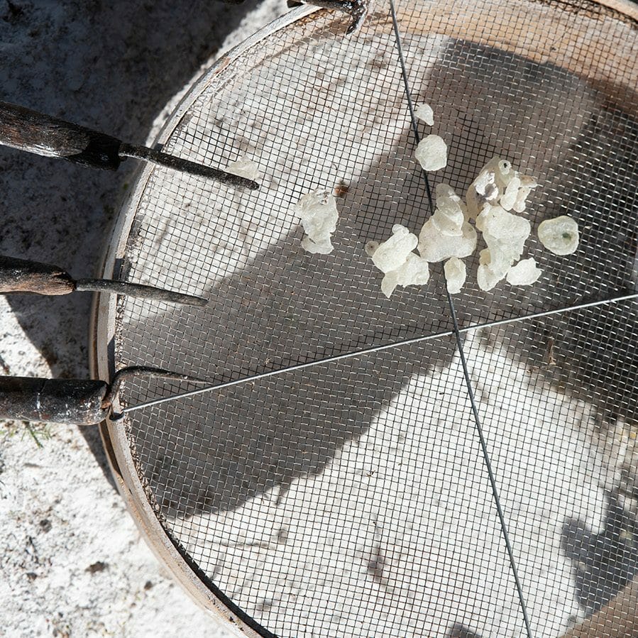 Mastiha, Mastiha: A Unique Herbal Spirit from Greece