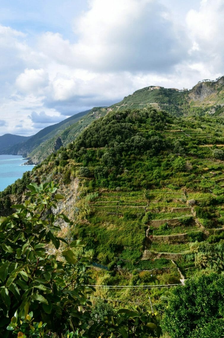 Cinque Terre, Cinque Terre: A Journey Through Five Villages