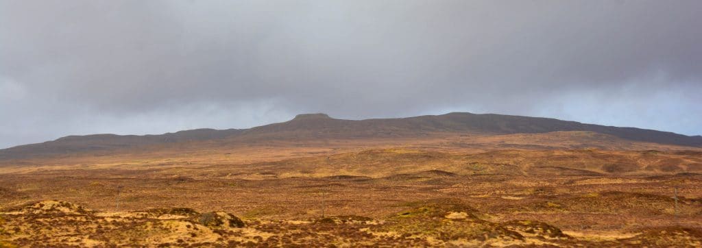 Fields on the island