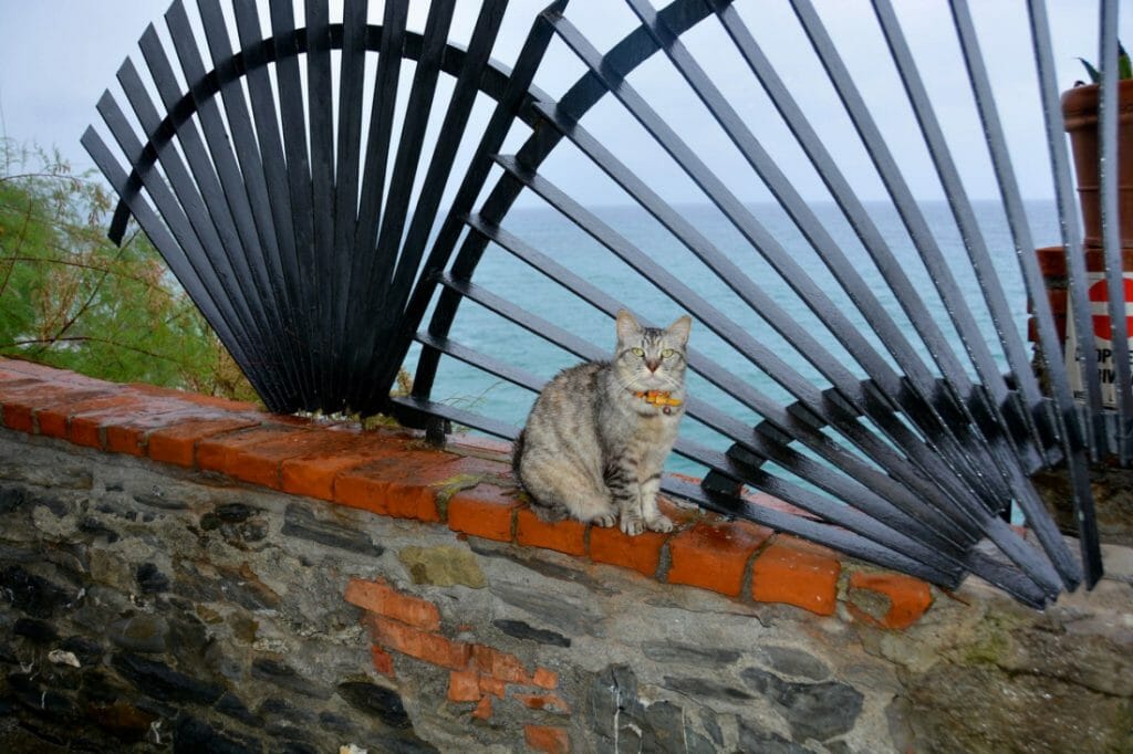 Monterosso al Mer