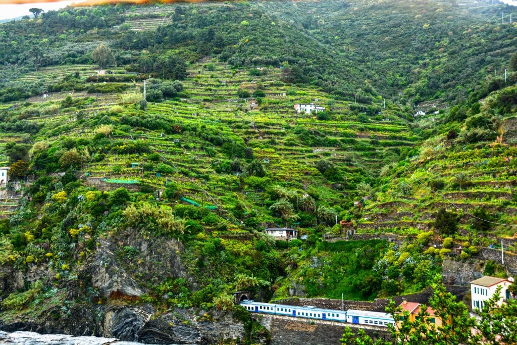 Cinque Terre, Cinque Terre: A Journey Through Five Villages