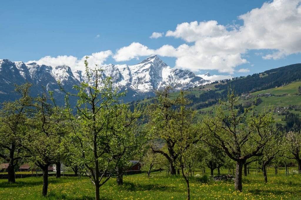 Alps