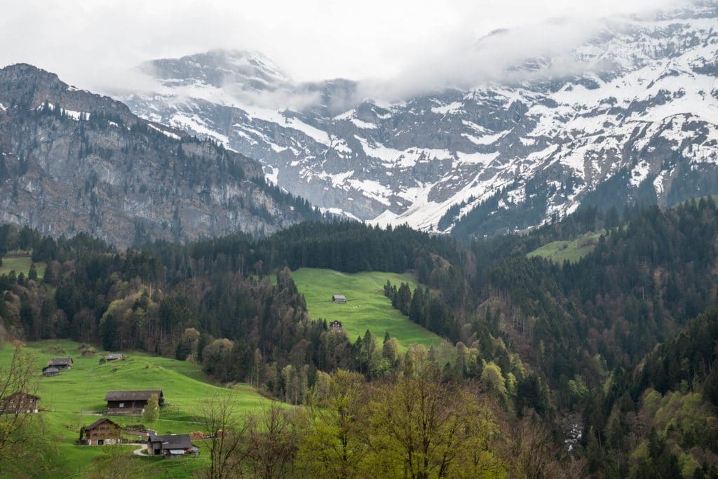 Alps