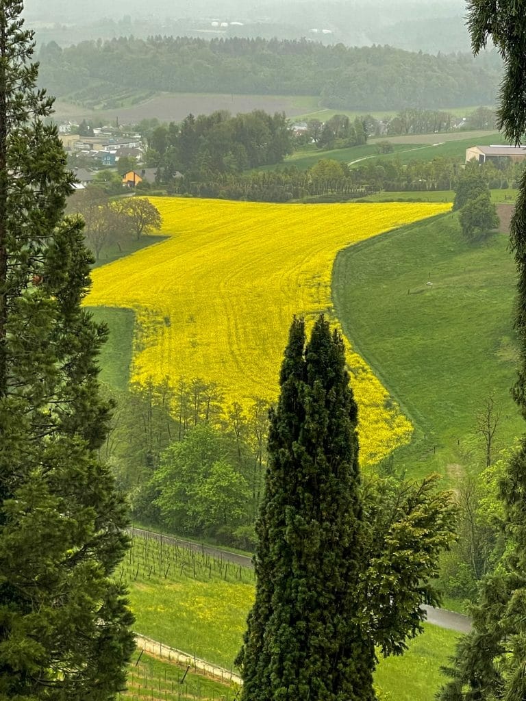 Switzerland