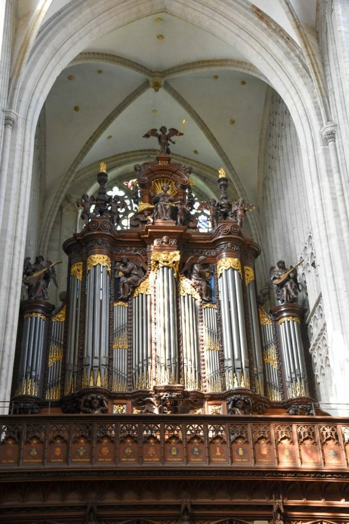organ
