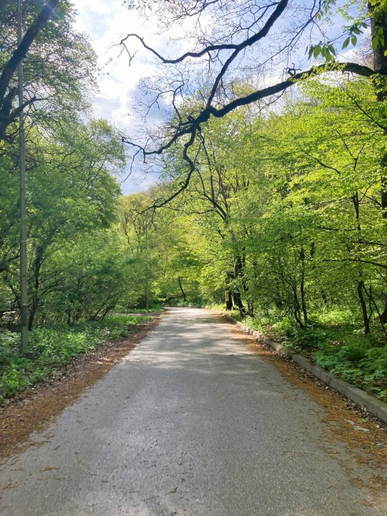 Kosovo