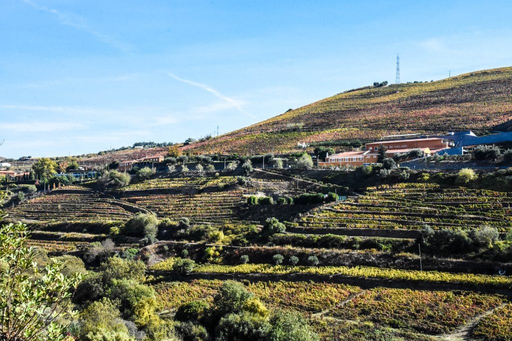 Duoro Valley