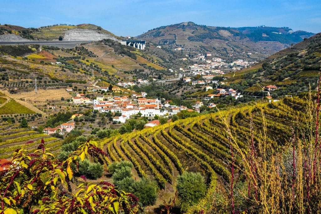 Duoro Valley