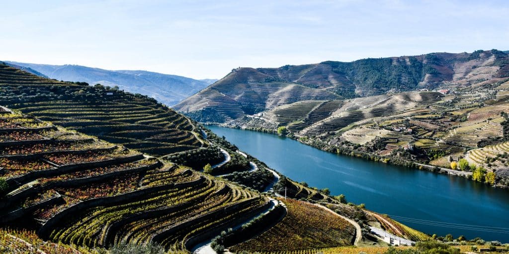 Port, Port: A Beloved Portuguese Tradition