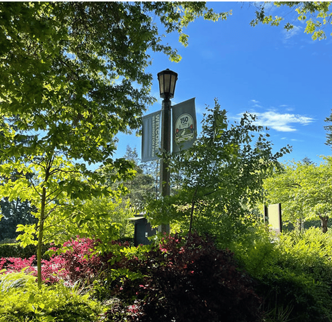 Portland, Traveling to Portland? Here are 4 Places You Cannot Miss