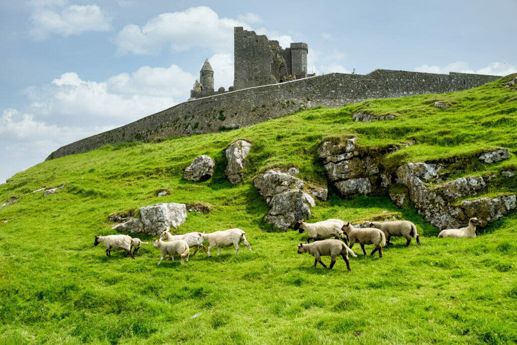 Rock of Cashel, Rock of Cashel – Ireland’s Ancient Site of Kings