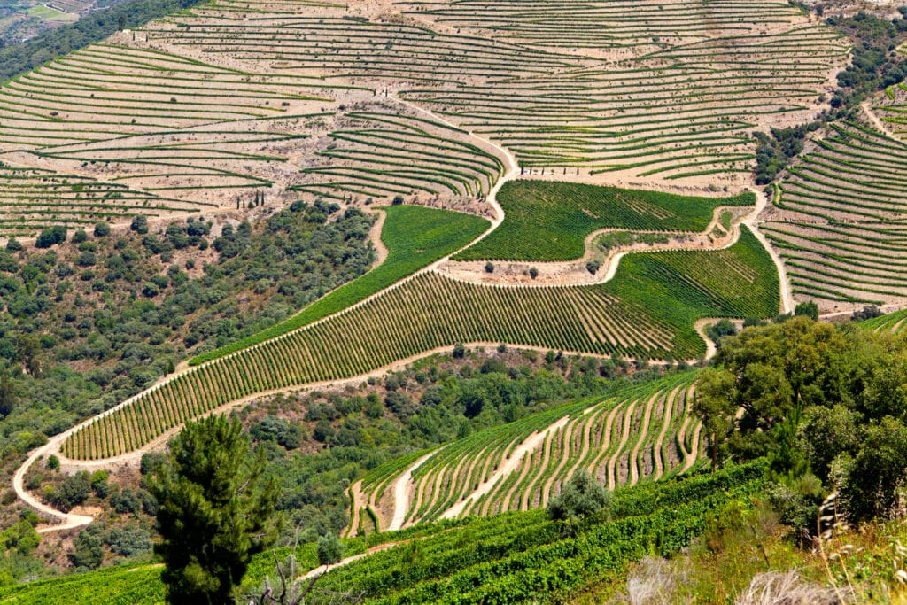 Douro Valley, Douro Valley – The Oldest &#038; Most Beautiful Wine Region in the World