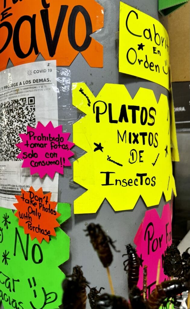 Mexico City Insects for sale