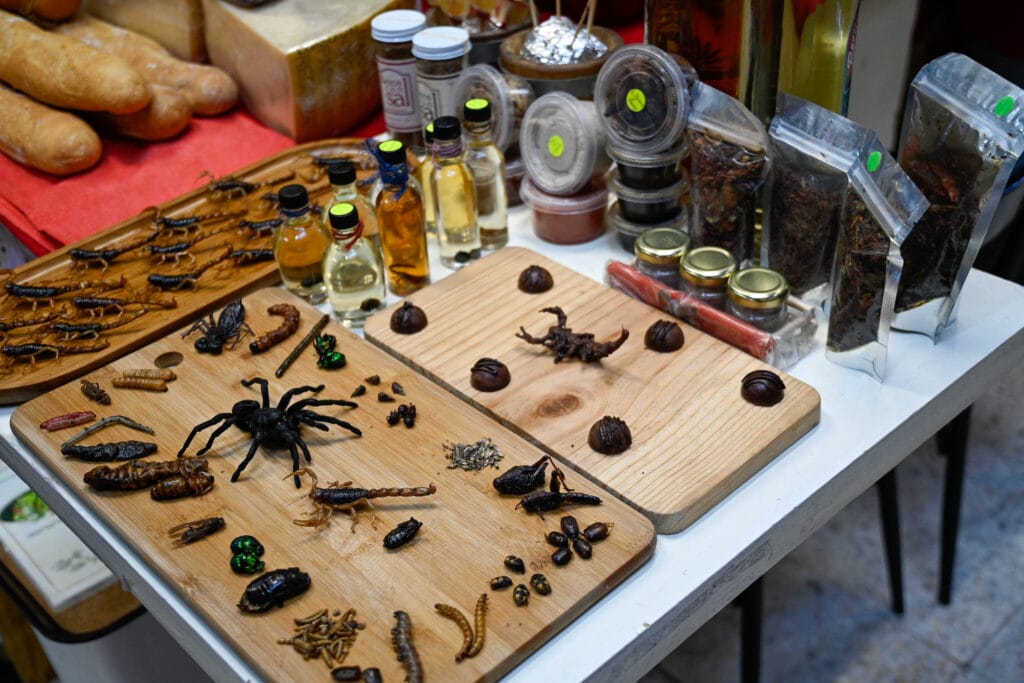 San Miquel Market Insects to eat for sale Mexico City