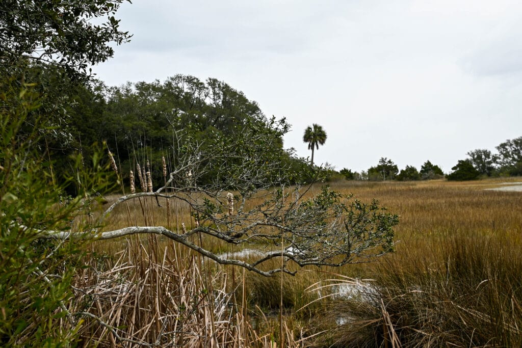 Historic Mitchelville, Exploring Historic Mitchelville Freedom Park in Hilton Head, SC: A Forgotten Chapter of Black History
