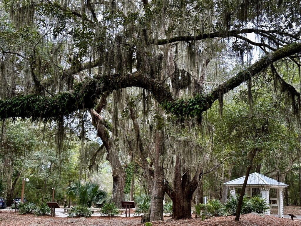 Historic Mitchelville, Exploring Historic Mitchelville Freedom Park in Hilton Head, SC: A Forgotten Chapter of Black History