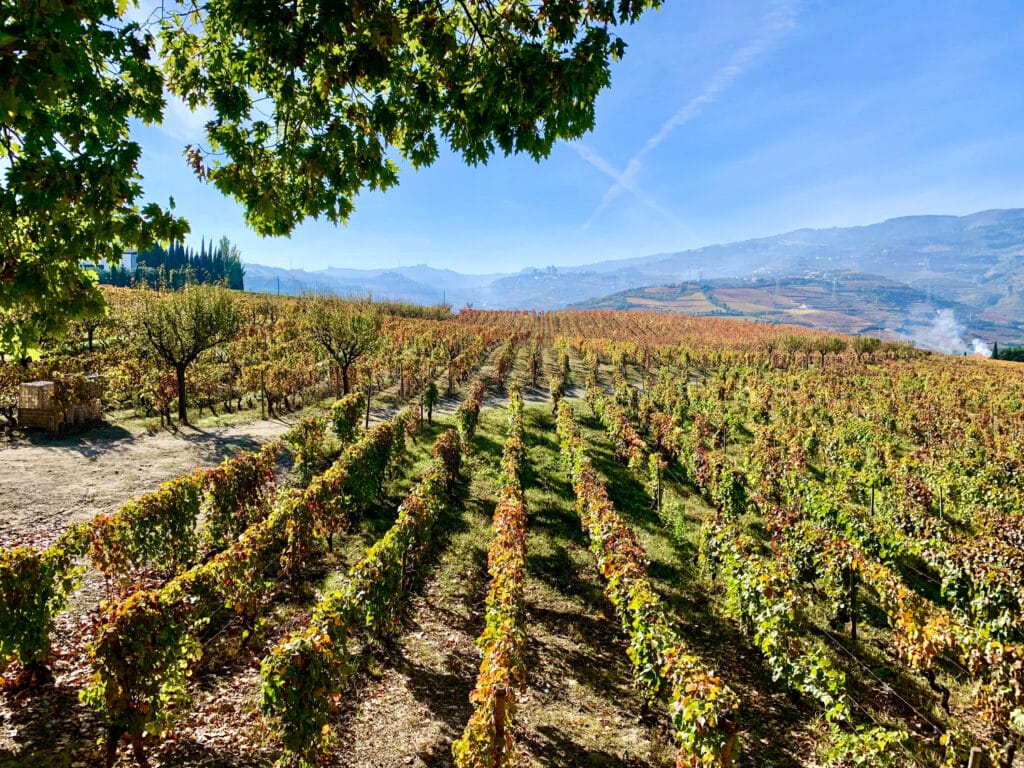 Douro Valley, Douro Valley – The Oldest &#038; Most Beautiful Wine Region in the World