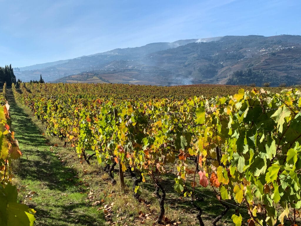 Douro Valley, Douro Valley – The Oldest &#038; Most Beautiful Wine Region in the World