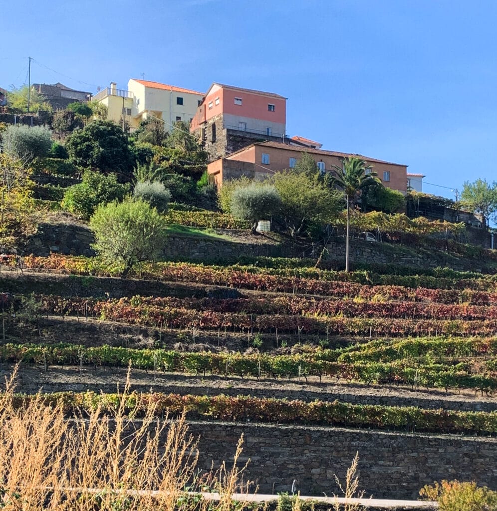 Douro Valley, Douro Valley – The Oldest &#038; Most Beautiful Wine Region in the World