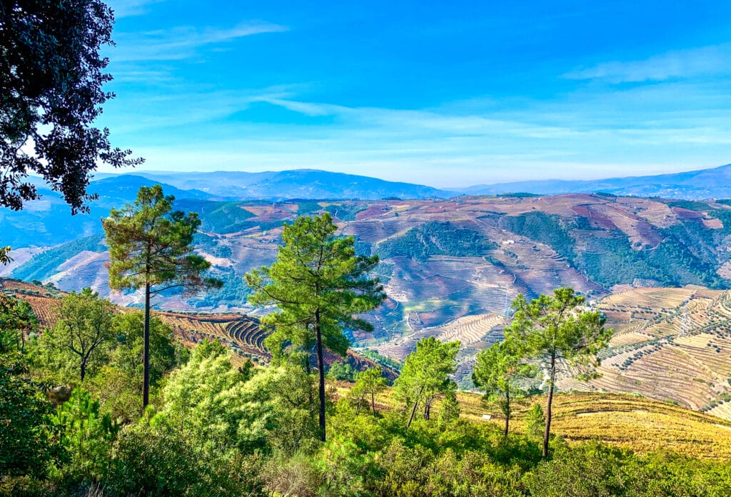 Douro Valley