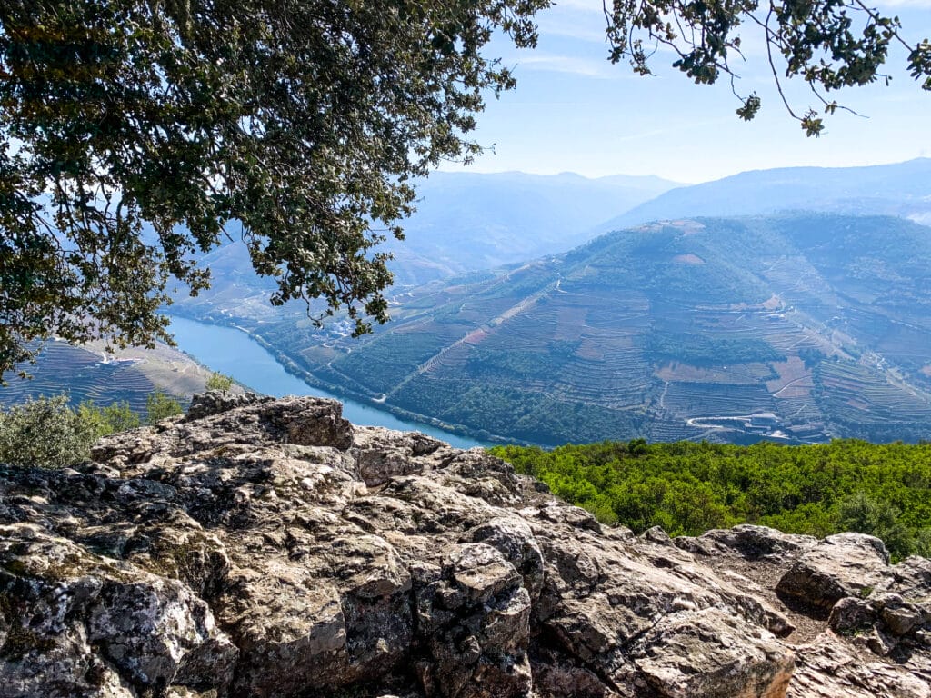 Douro Valley