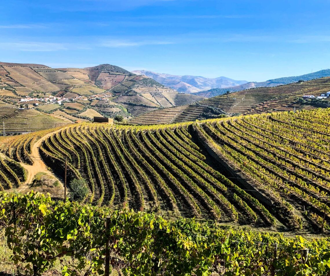 Douro Valley, Douro Valley – The Oldest & Most Beautiful Wine Region in the World