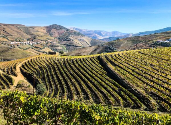 Pastel/Pasteis de Nata, Pastel/Pasteis de Nata Recipe