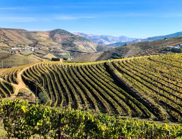 20191026 124814516 iOS scaled min