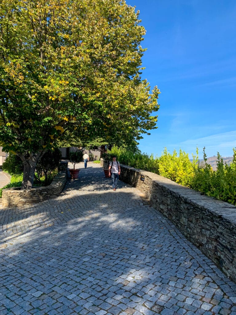 Douro Valley