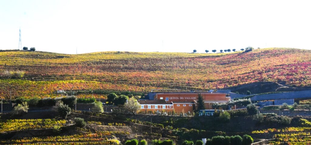 Quinta