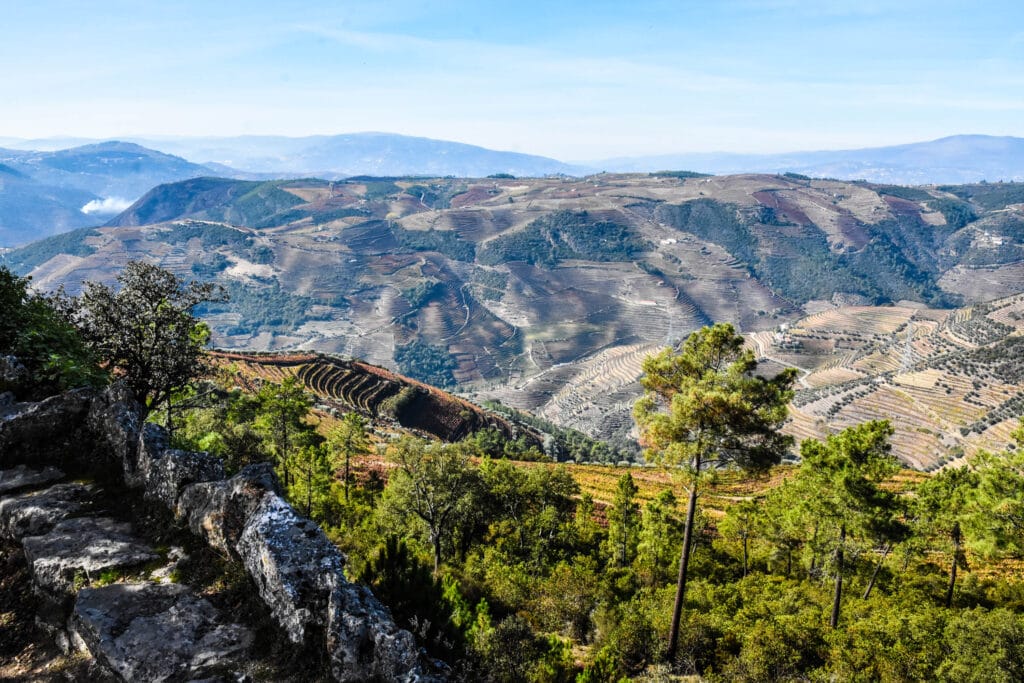 Douro Valley